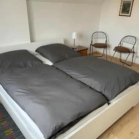 Constanze Muecheln Am Geiseltalsee Fuer Bis Zu 6 Personen, Terrasse, Garage *