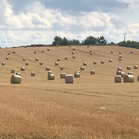 Apartmán Constanze Muecheln Am Geiseltalsee Fuer Bis Zu 6 Personen, Terrasse, Garage